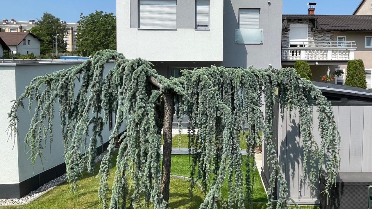 Villa Mami Zagreb Luaran gambar
